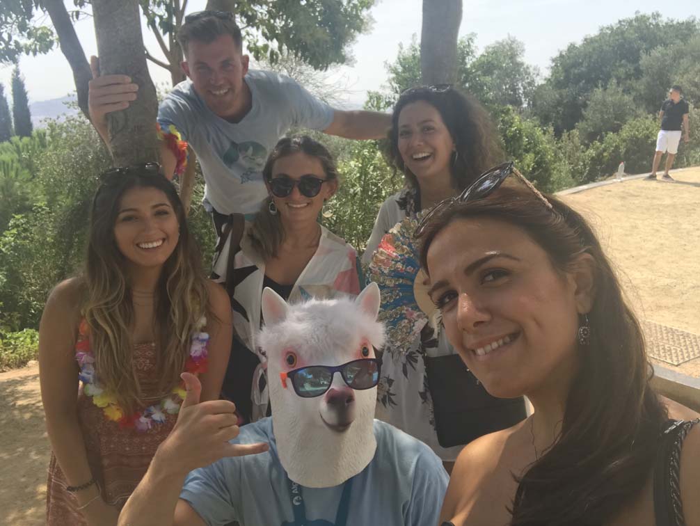 Alpacr on Tour